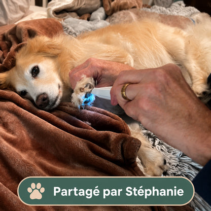 PawTrim — Tondeuse Électrique pour Chien - Silencieuse & Sans Douleur