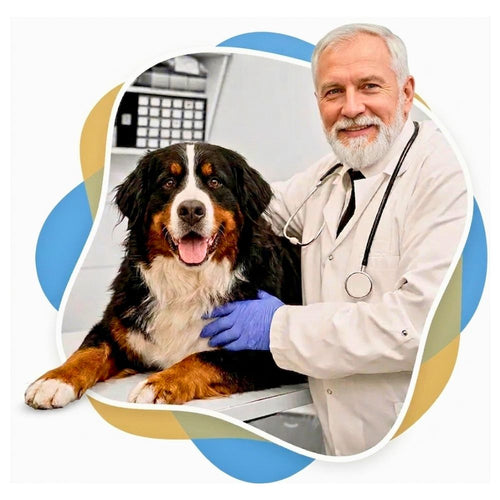 Vétérinaire approuvant les produits Pawzola